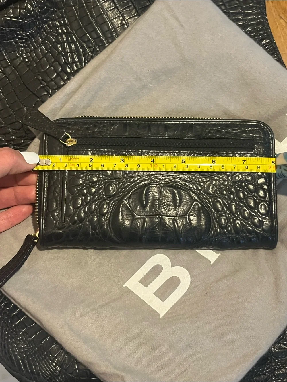 Brahmin Bag & Wallet
